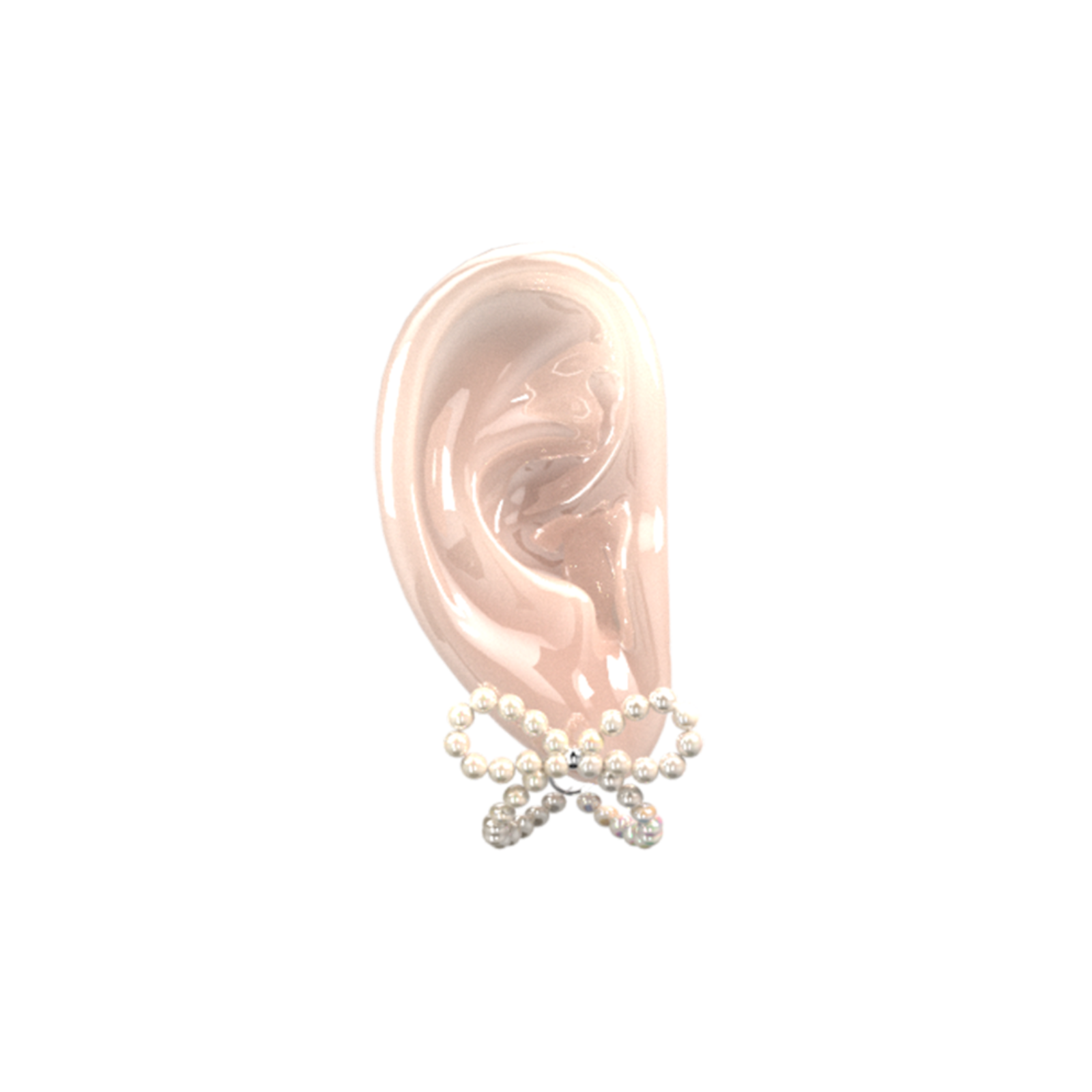 Bow Shell - Earrings